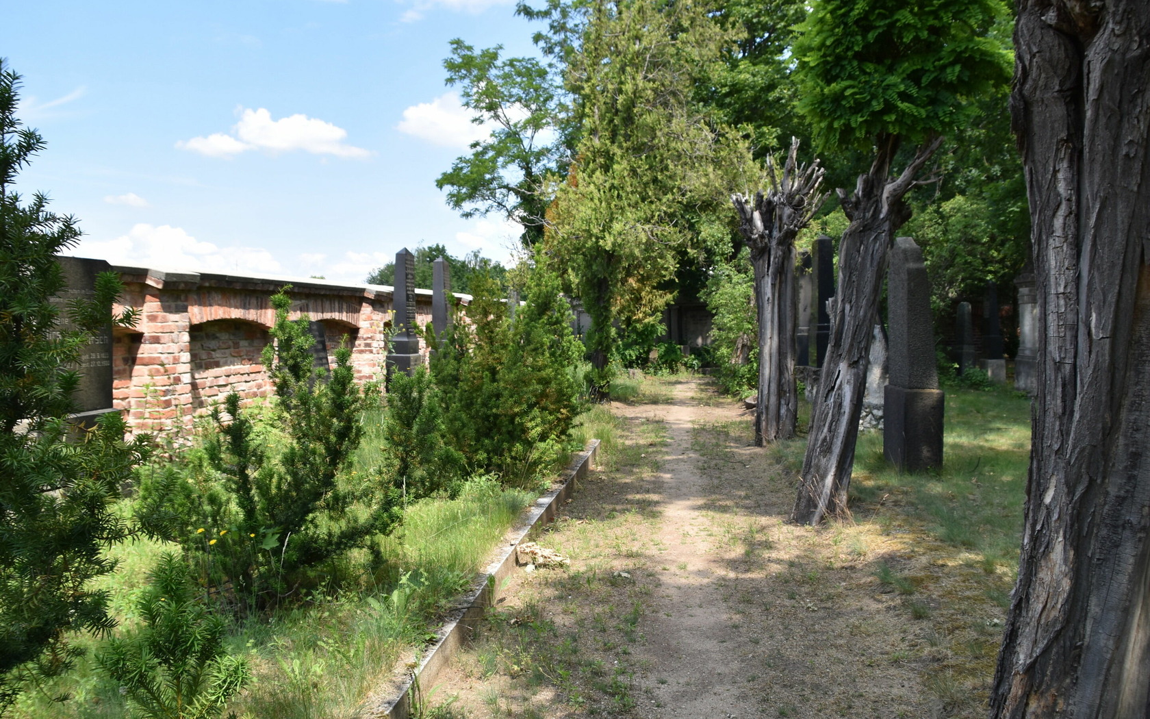 Jewish Cemetery, Foto: MuT ― Marketing und Tourismus Guben e.V., Lizenz: MuT ― Marketing und Tourismus Guben e.V.