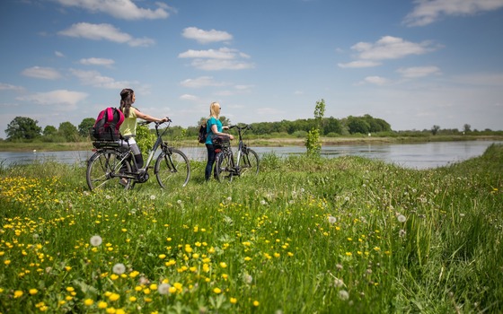 Oder-Neiße-Radweg, Foto: Florian Läufer, Lizenz: Seenland Oder-Spree