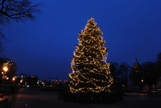 Adventbeleuchtung, Foto: MuT ― Marketing und Tourismus Guben e.V., Lizenz: MuT ― Marketing und Tourismus Guben e.V.