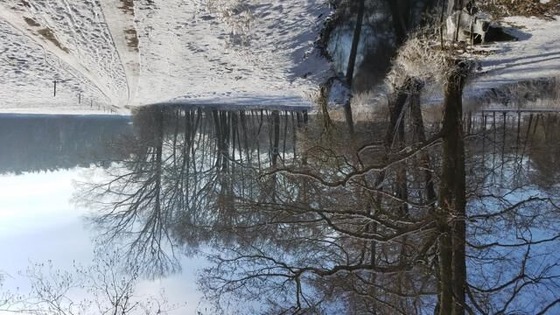 Foto: Linda Geilich, Lizenz: MuT e.V. - Marketing und Tourismus Guben e.V.