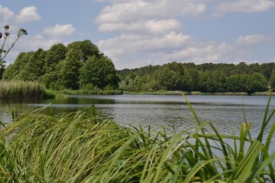 Foto: Linda Geilich, Lizenz: MuT - Marketing und Tourismus Guben e.V.